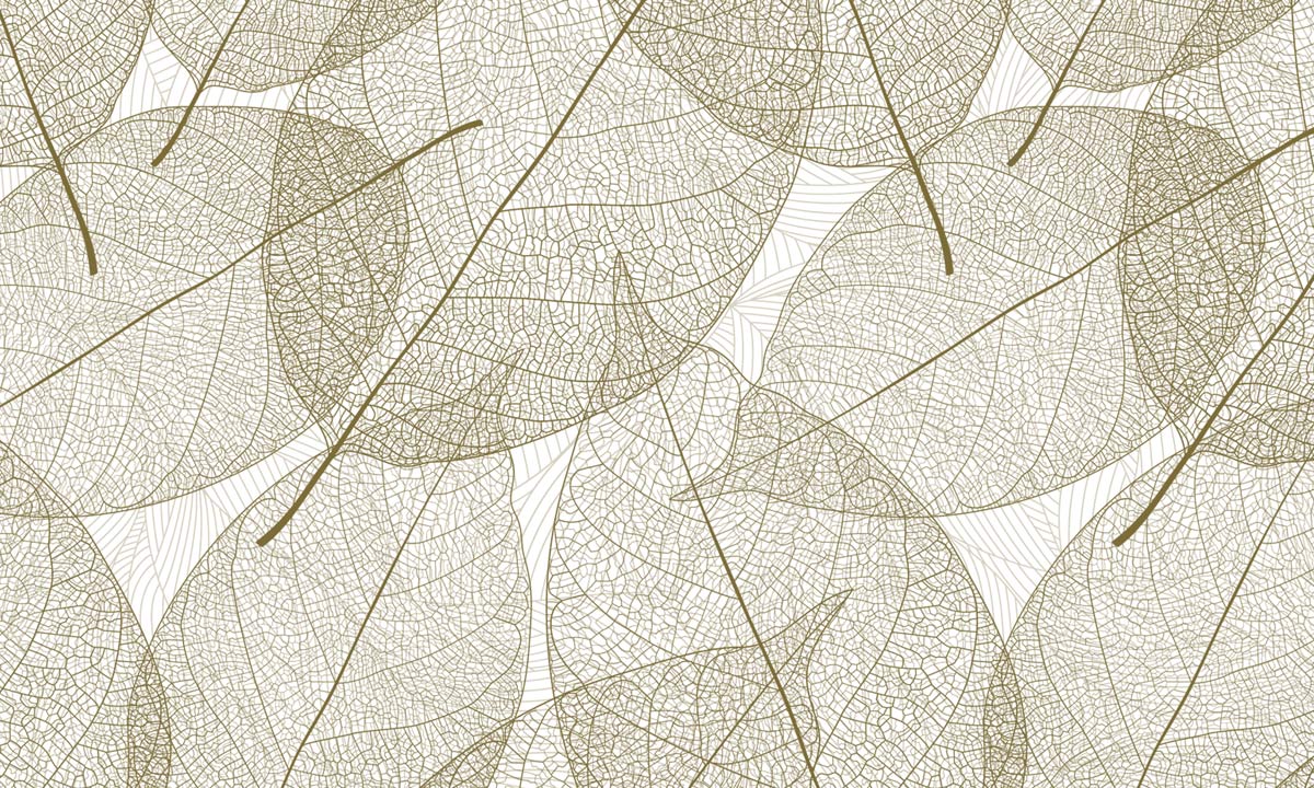 Wallpaper mural with large leaves for the home