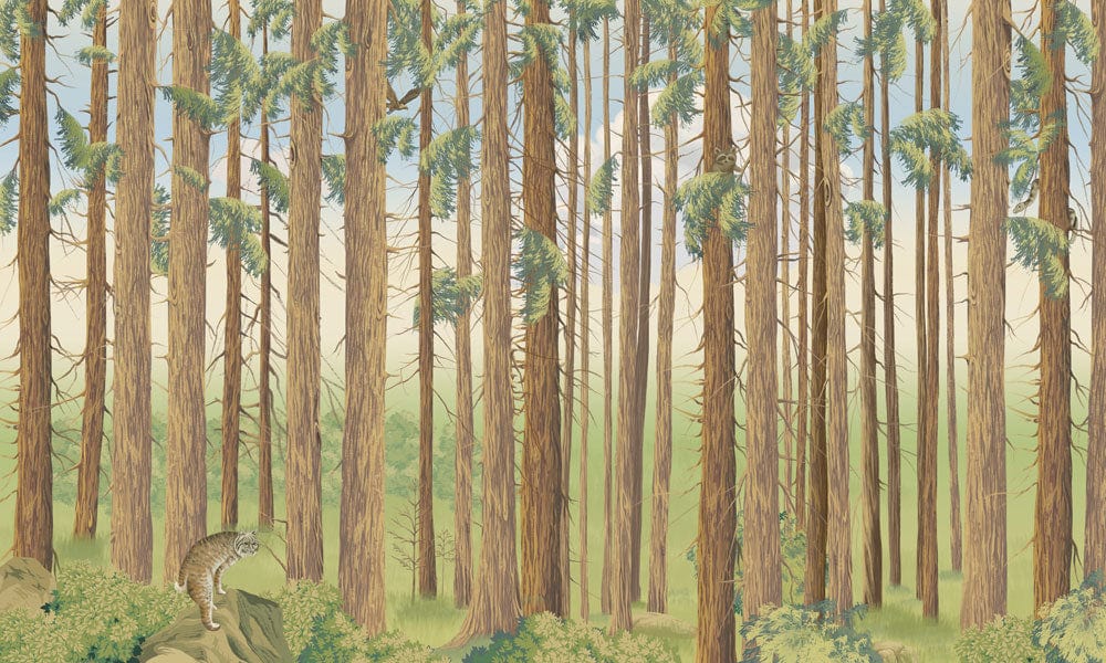 Wallpaper mural featuring a dense forest of tree trunks for use in home decoration