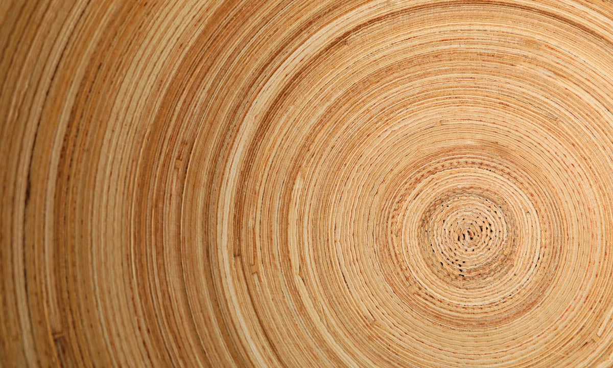 Wallpaper mural with a wood grain effect for use in home decor