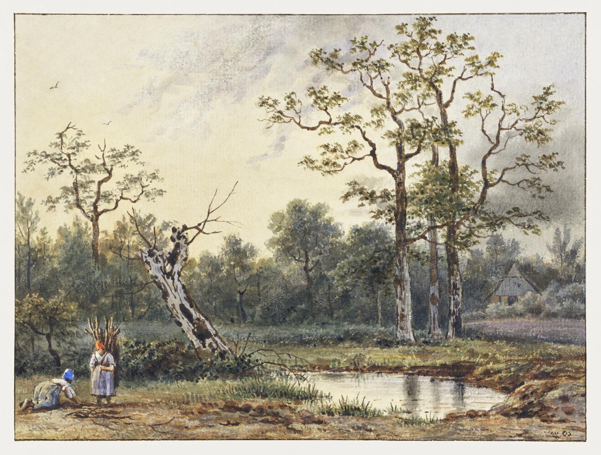 Grove oil painting mural Wallpaper for wall decor