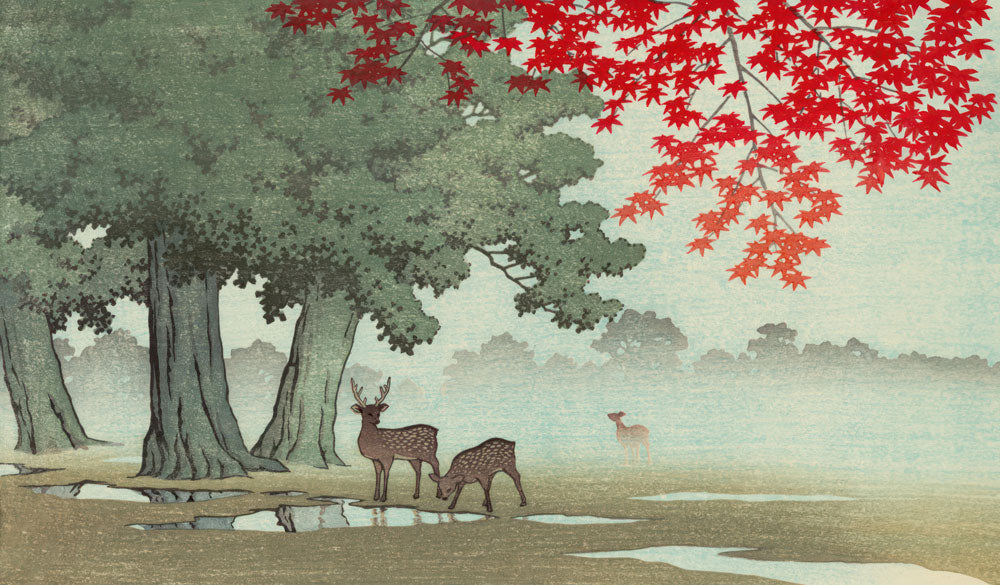 Deer in Autumn Forest Mural Wallpaper