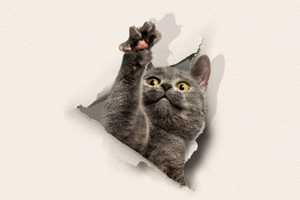 blue cat wallpaper murals that break apart the paper