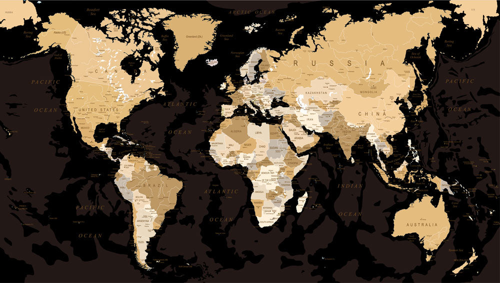 Elegant World Map Wall Wallpaper