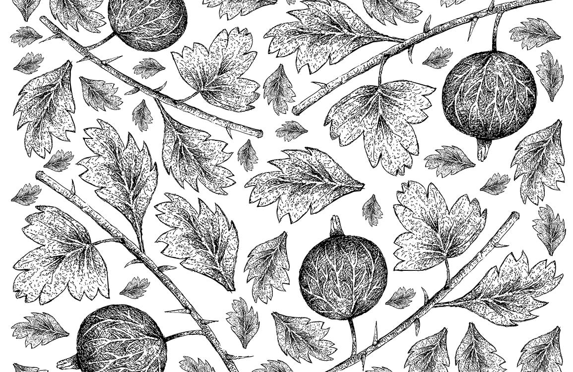 Modern Geometric Moon Phases Wallpaper for Wall