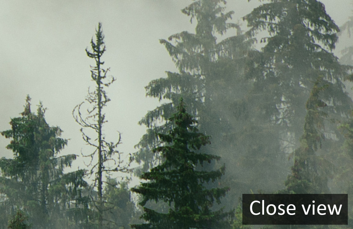 Sunset Sunflower Field Nature Mural Wallpaper