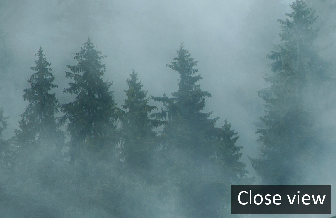 Misty Forest Scene Landscape Mural Wallpaper