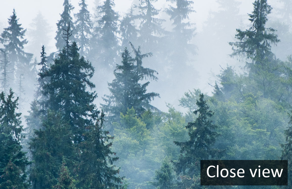 Misty Forest Scenic Landscape Mural Wallpaper