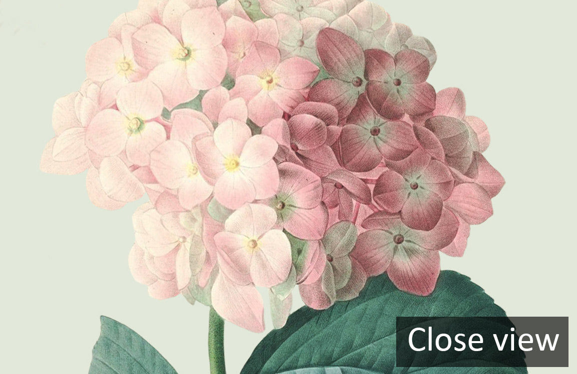 Vintagete Botanische Garten Florale Wandmural