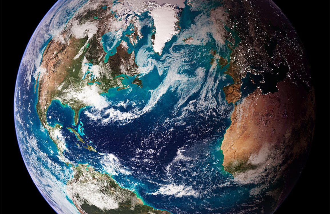 Tropical Teal Leaf Botanical Mural Wallpaper