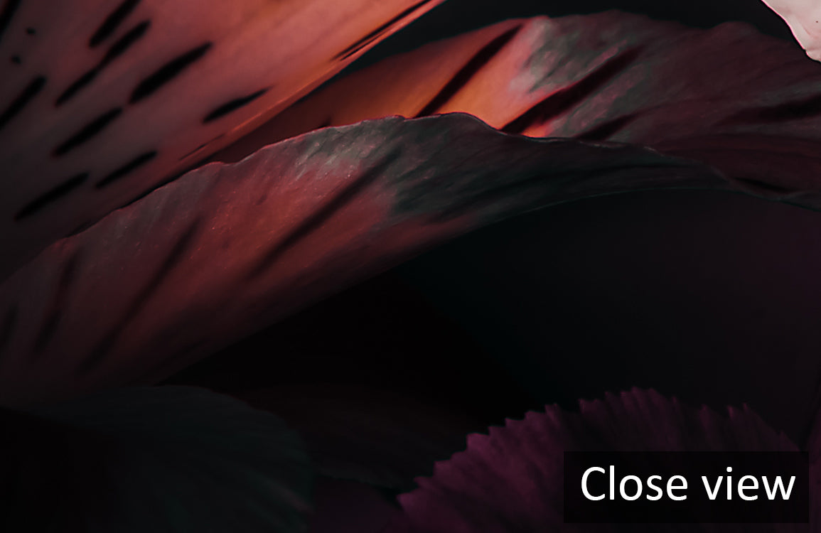 Dark Floral Elegance Mural Wallpaper