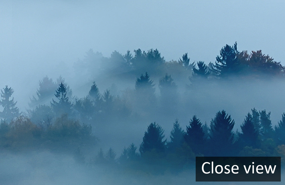 Misty Forest Mountain Sunrise Mural Wallpaper