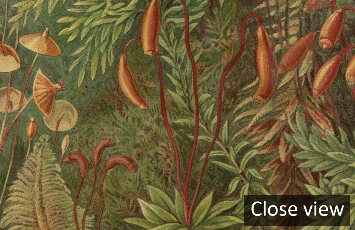 Verdant Grove Mural Wallpaper