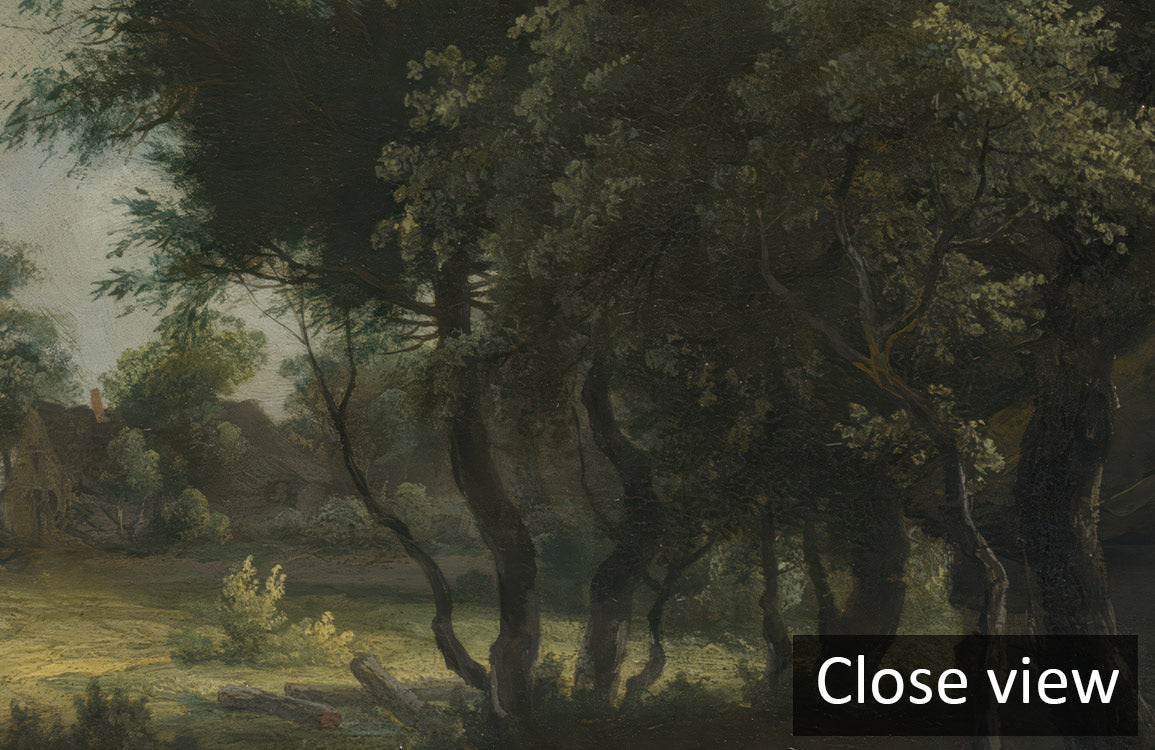 Countryside Serenity Path Mural Wallpaper