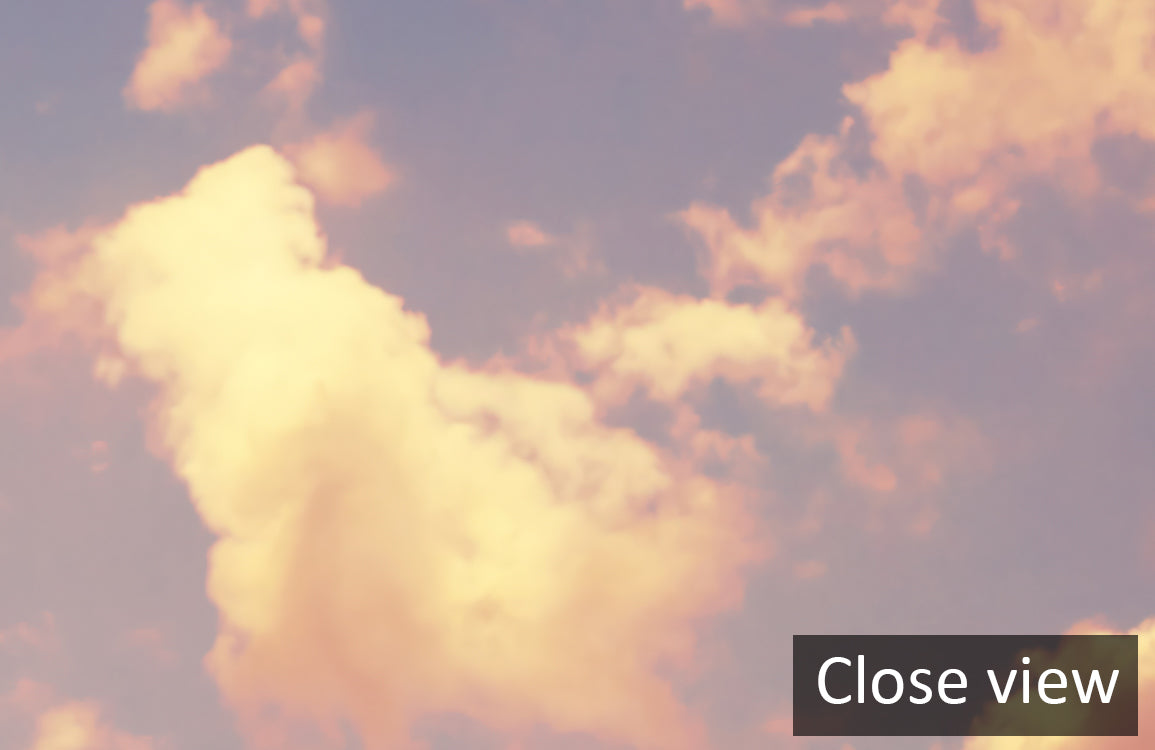 Rosy Dusk Dream Mural Wallpaper