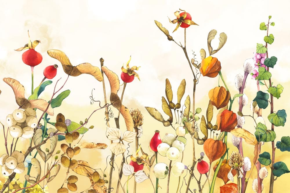 custom colorful cotton bushes wallpaper mural for room decor