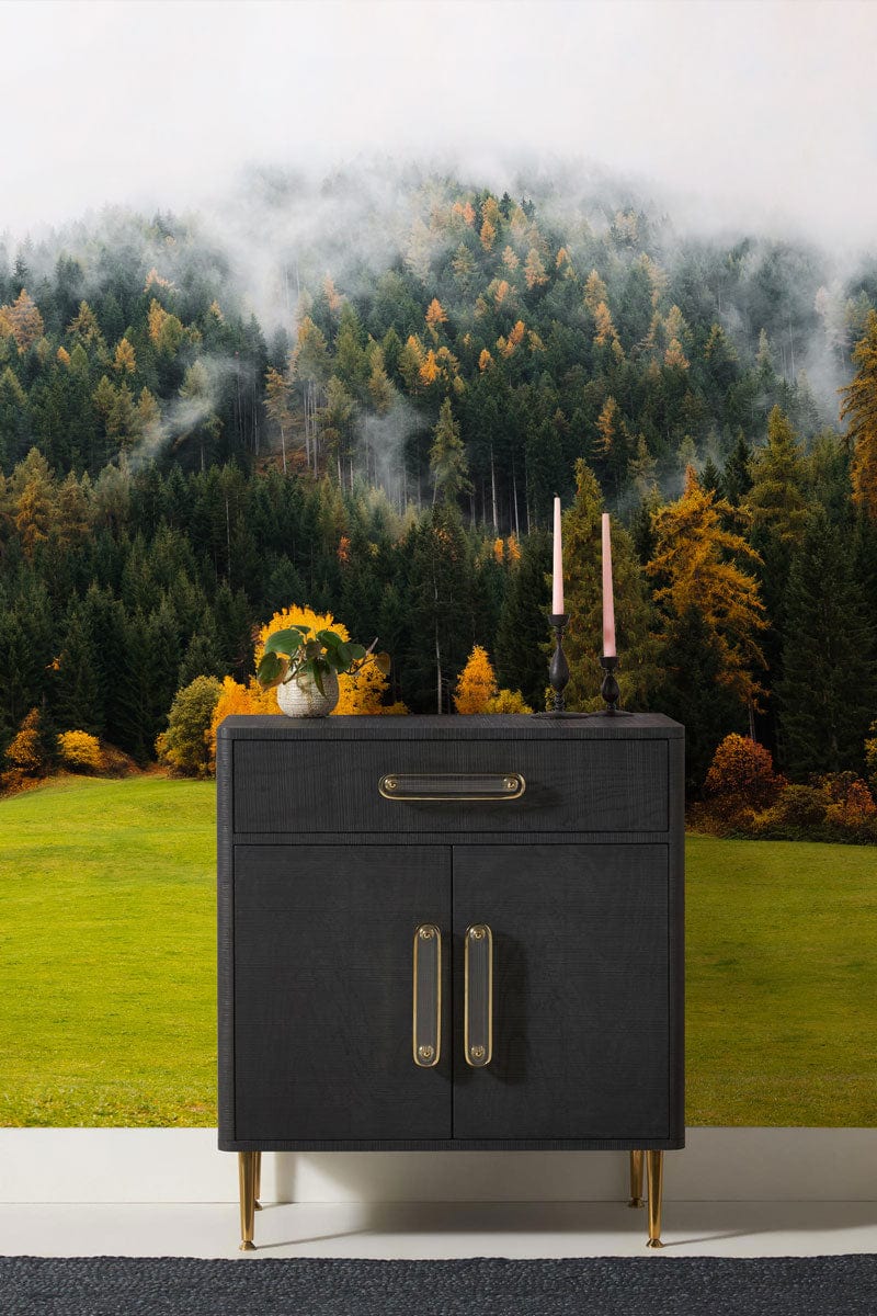 Wallpaper mural depicting a foggy autumn forest for use in decorating hallways.