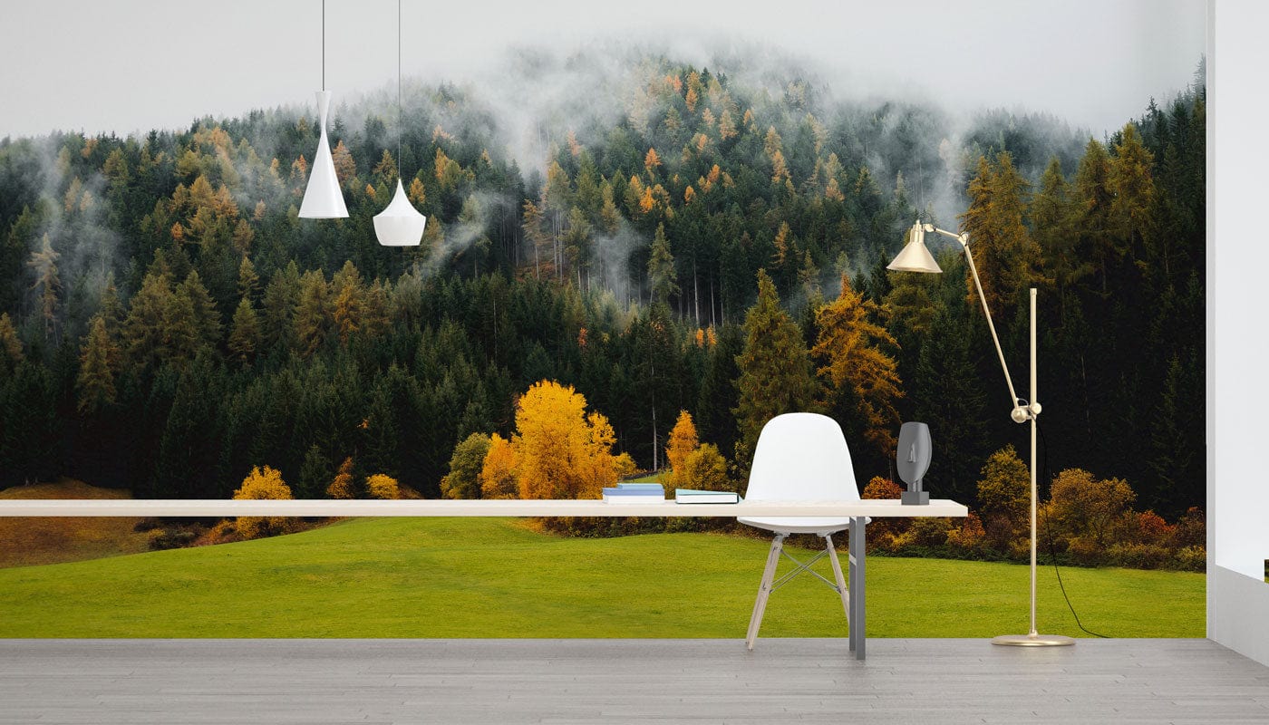Home and Office Decoration Featuring a Wallpaper Mural of a Foggy Autumn Forest