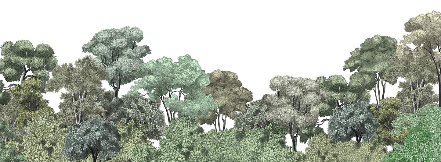 Papier Peint Panoramique Forêt Animée II
