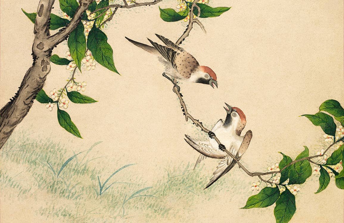 Vintage Nautical Bird Illustration Mural Wallpaper