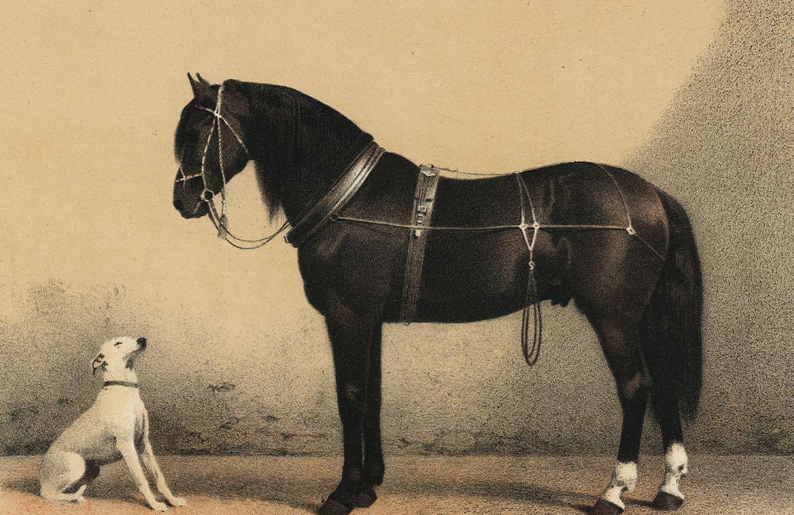 Rustic Landscape Watercolor Wallpaper Mural