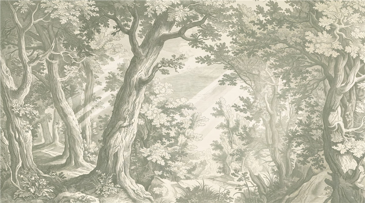 Sunlit Forest Etching Sage Wallpaper Mural - image 6
