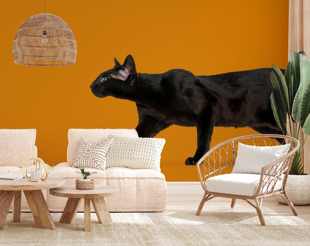 giant black cat wallpaper mural for the living room
