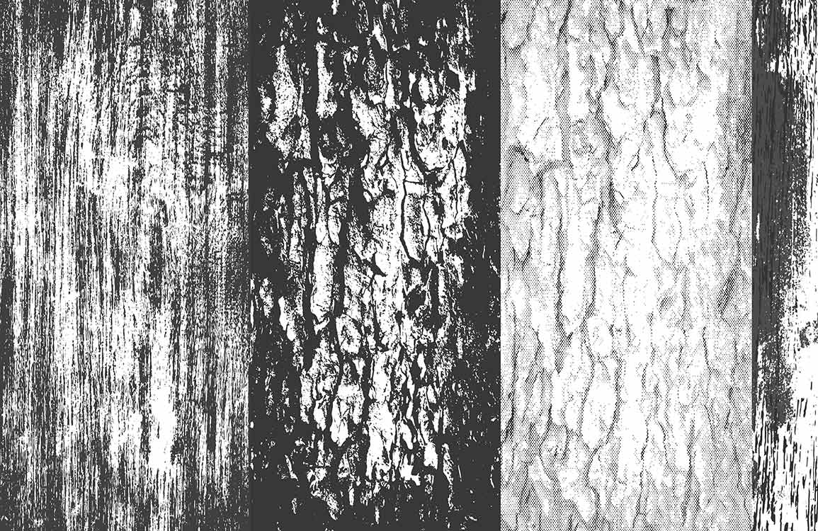 Vintage Nautical Bird Illustration Mural Wallpaper