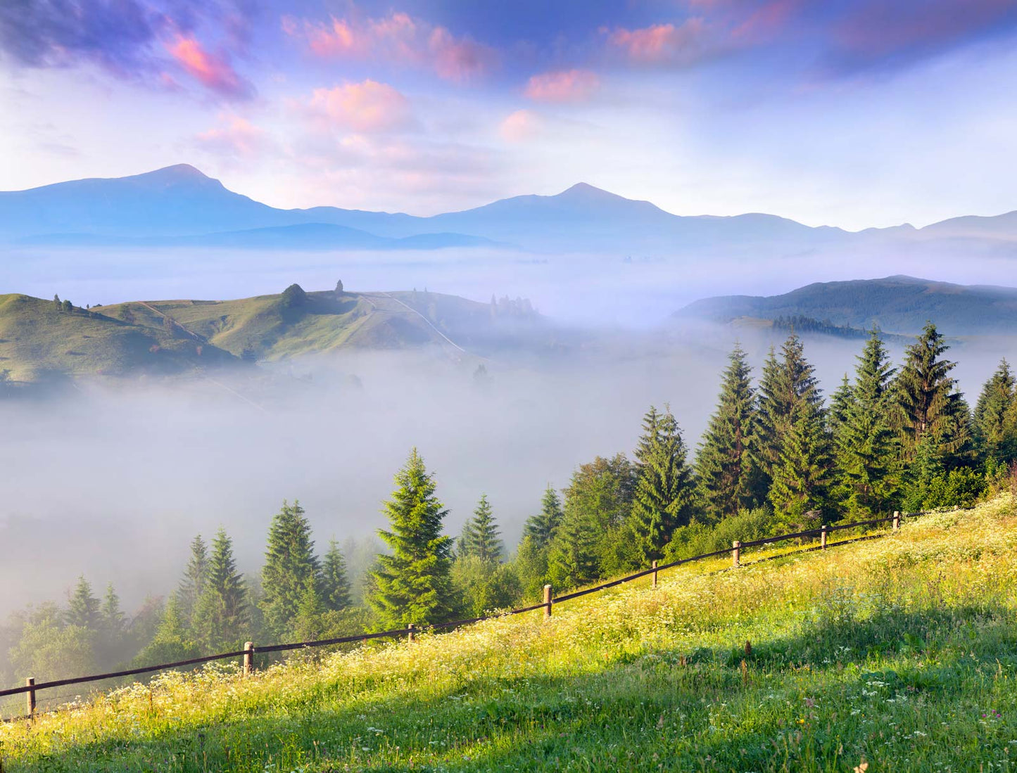 Forest Fog Wallpaper Mural for Interior Design and Home Decorating