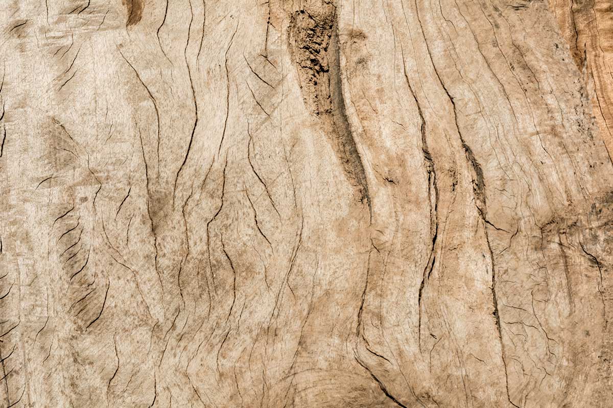 Cracked Wood Grain Wall Mural Home Interior