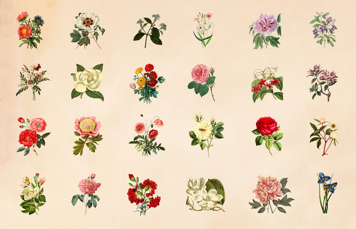 Colorful Flower Wallpaper Home Decor