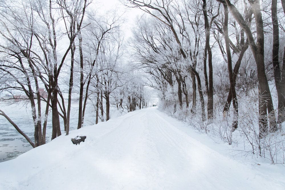 snow forest mural wallpaper decoration idea