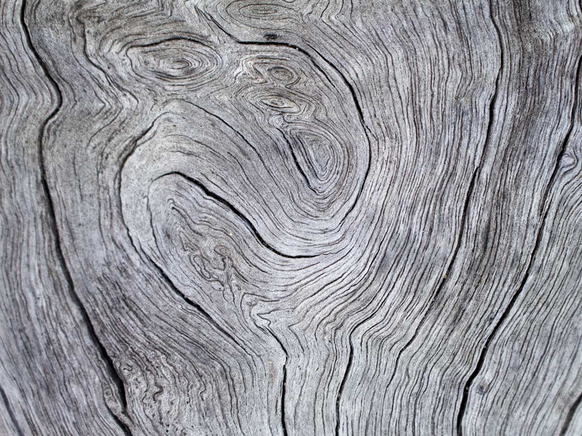Gray Wood Grain Wall Mural Home Decor
