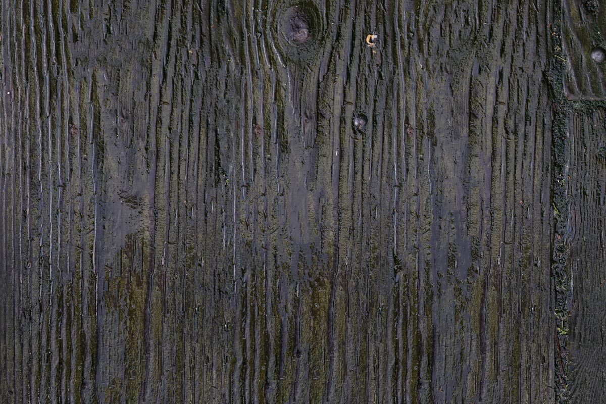 vivid green wood wallpaper mural art design