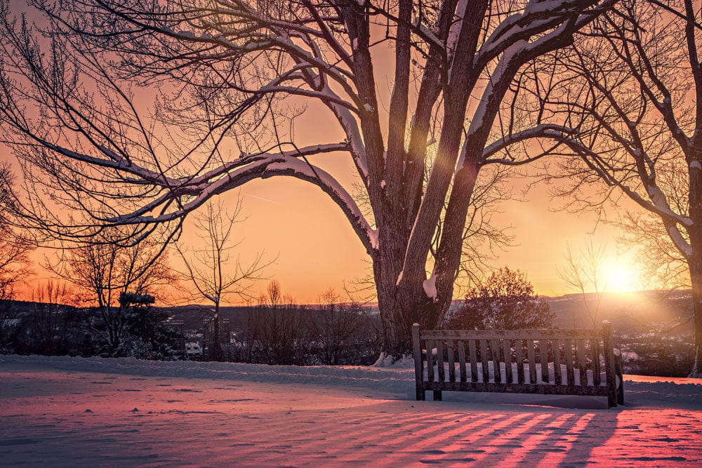 beautiful winter landscape wall mural home decor