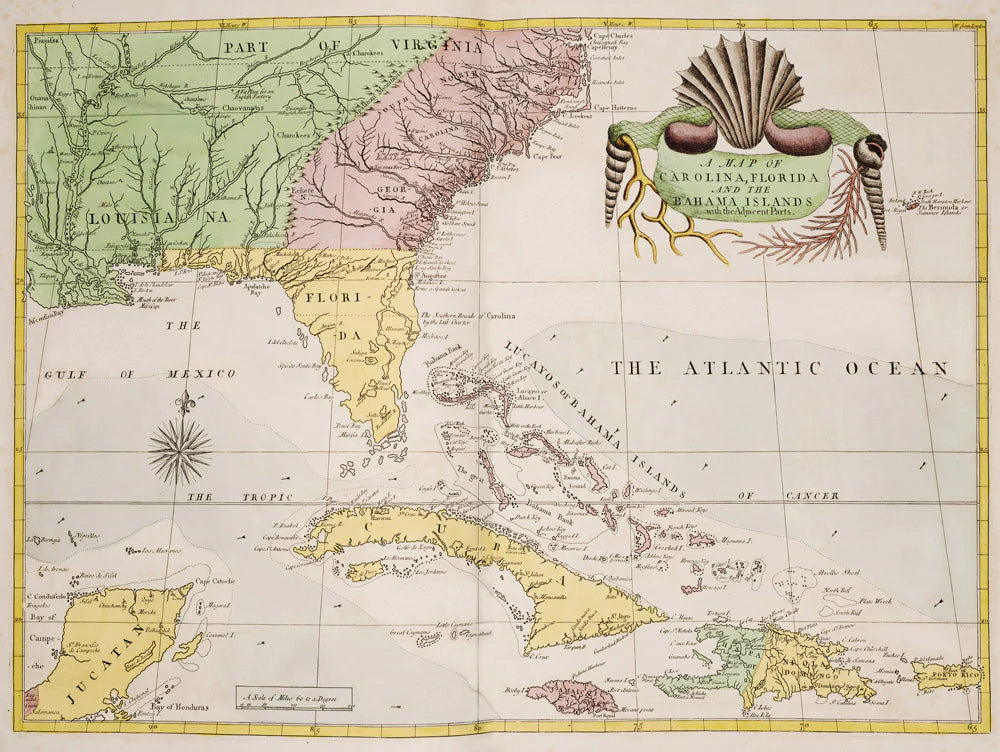Map of Carolina & Florida Wallpaper Mural Art