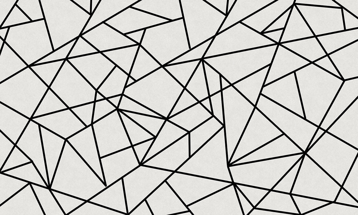 Modern Geometric Black Lines Mural Wallpaper