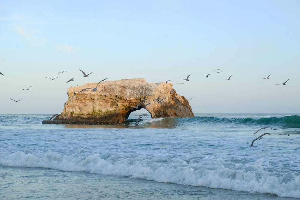 ocean rock and seagull wallpaper mural home interior decor