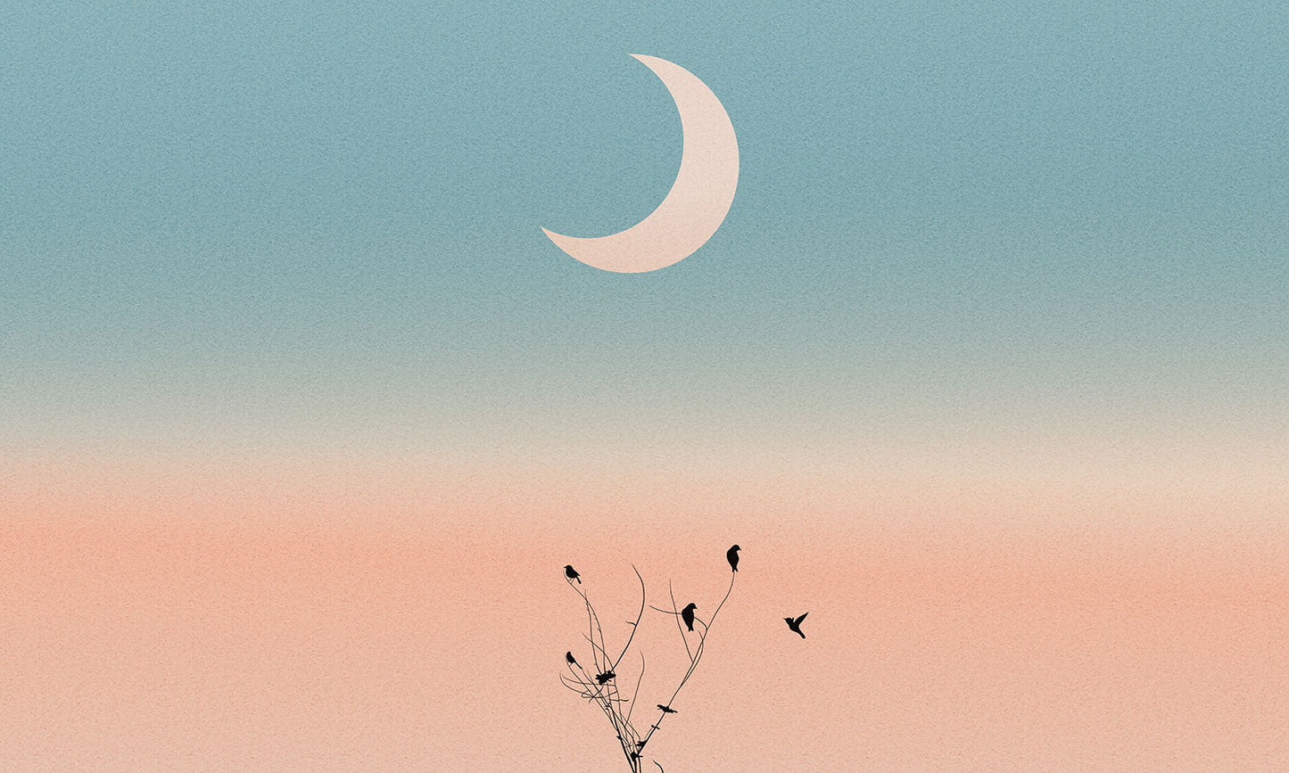 Serene Twilight Birds Silhouette Mural Wallpaper