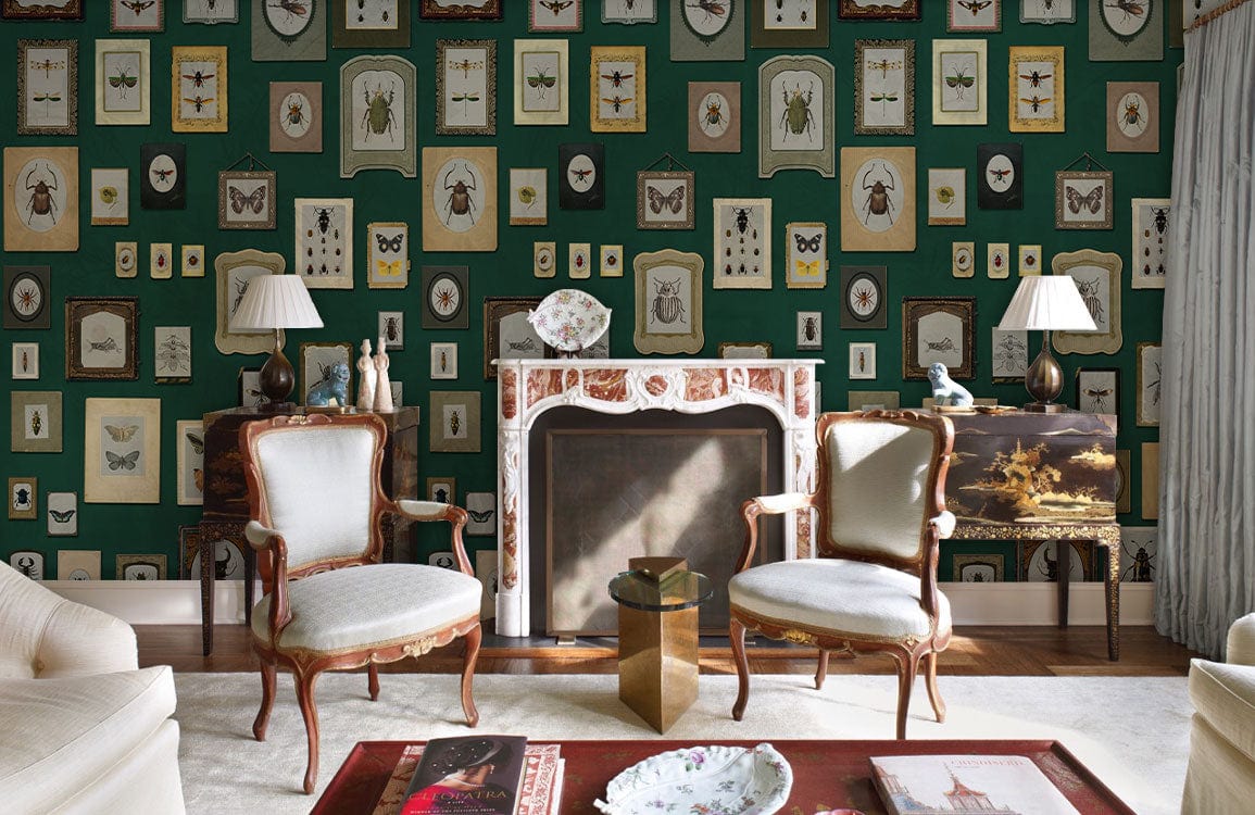 Vintage Entomology Framed Illustrations Mural Wallpaper in living room