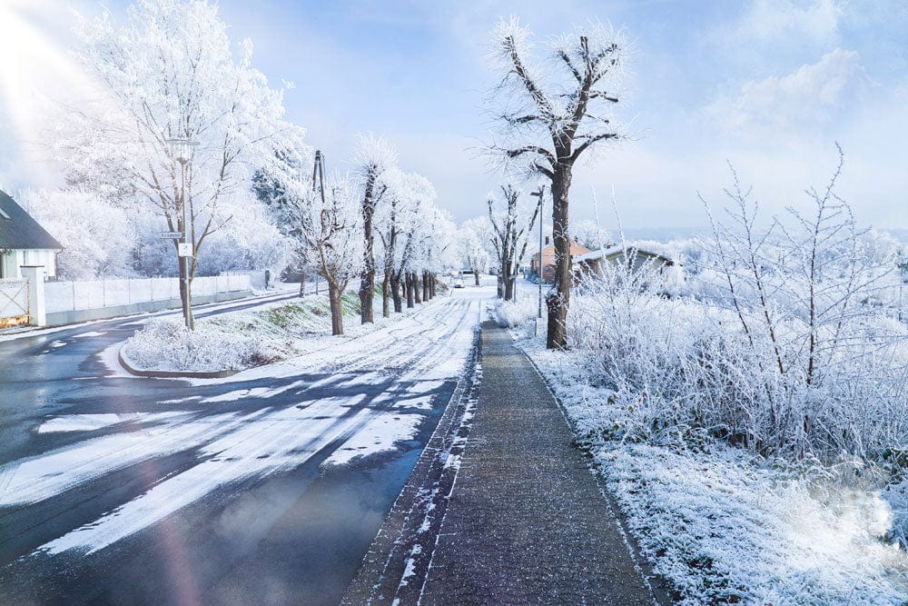 Home interior winter wallpaper mural