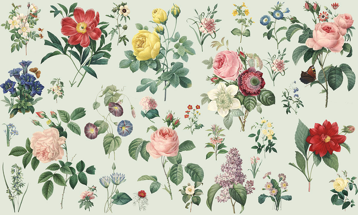 Vintage Botanical Garden Floral Wall Mural