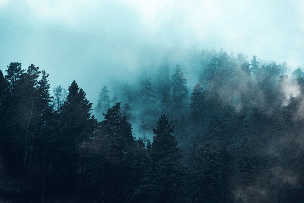 Wallpaper mural for home decoration featuring a blue mist and dark forest scene.