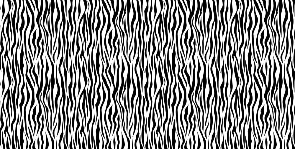 wall murals with wild, rich zebra fur for use in the interior decor of your house