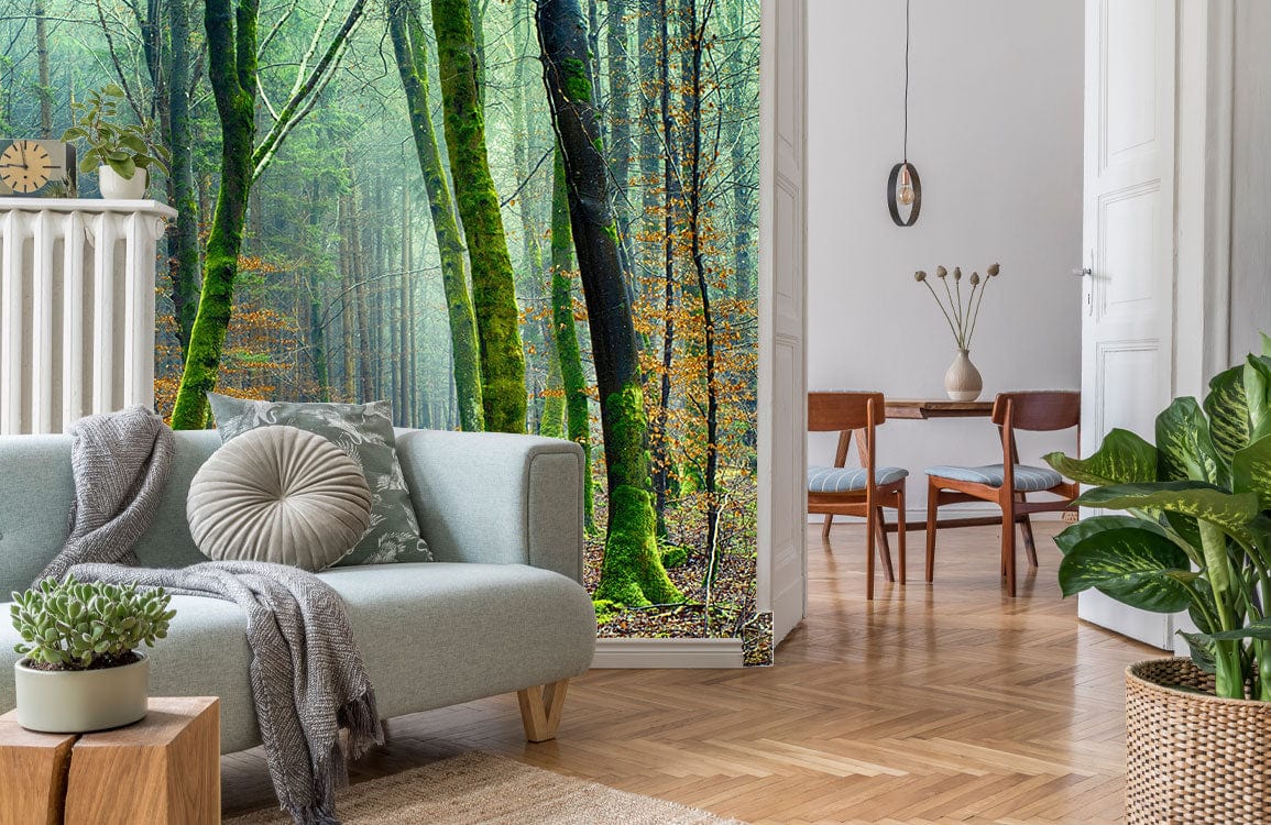 Enchanted Forest Scenery Wallpaper Mural in living room