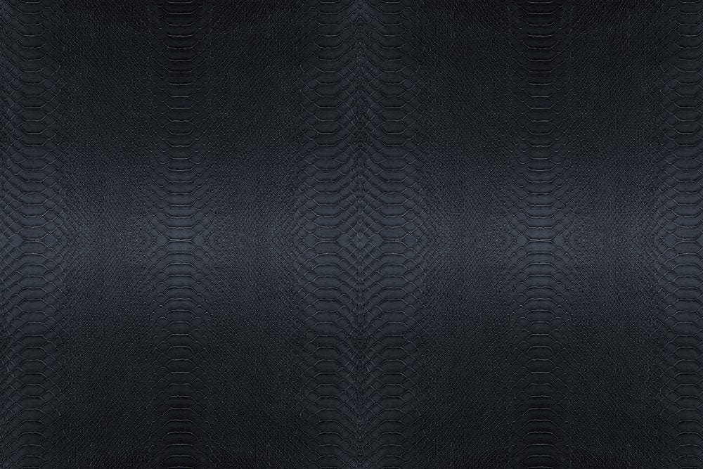 Home Decor Wall Art Featuring a Python's Dark Skin Texture