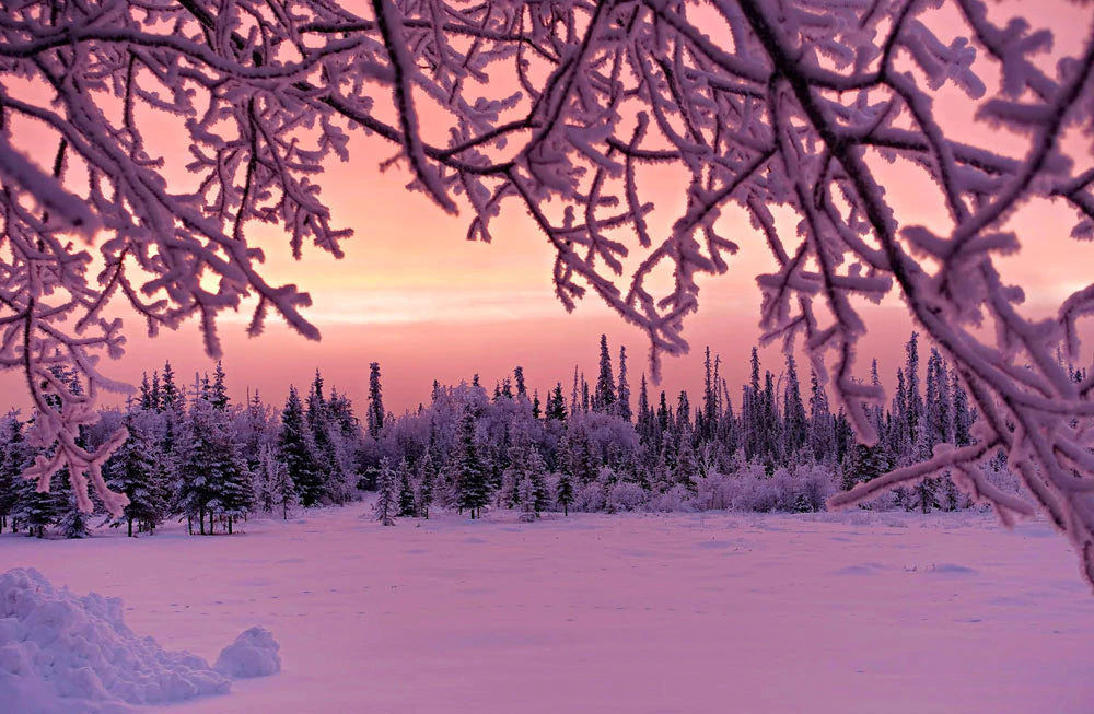 purple sunset snow wallpaper mural design