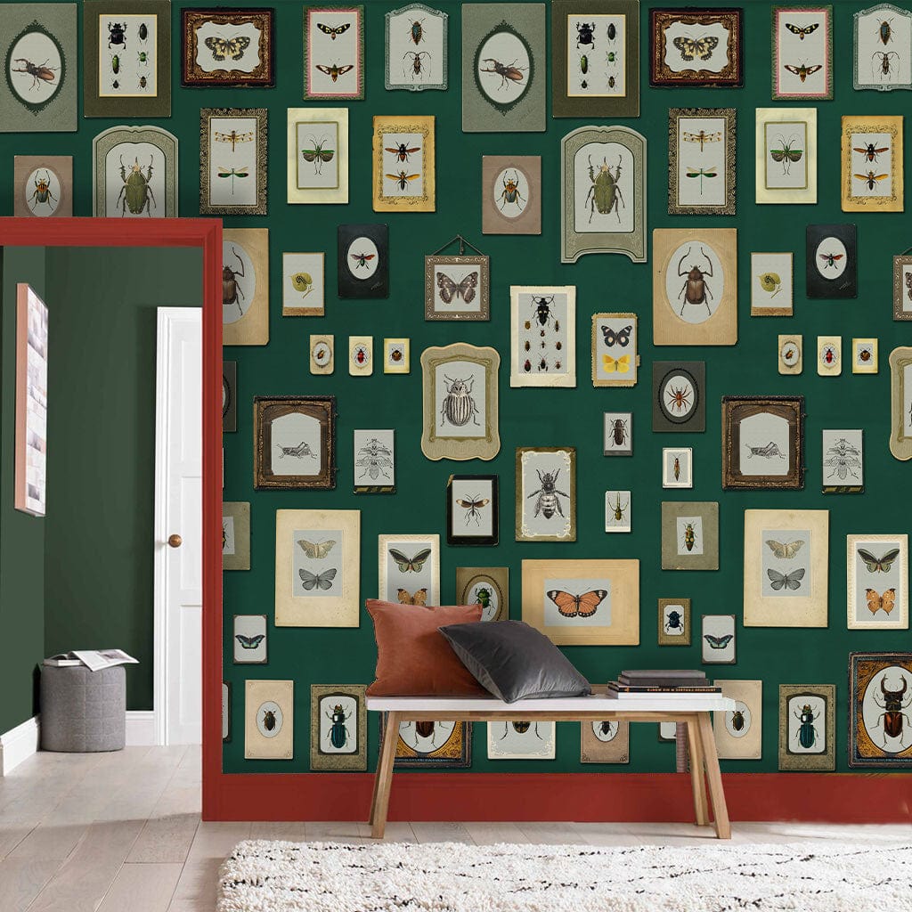 Vintage Entomology Framed Illustrations Mural Wallpaper in entryway