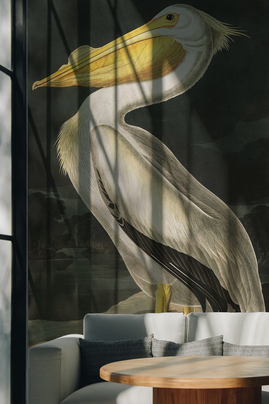 Vintage Pelican Illustration Mural Wallpaper in living room