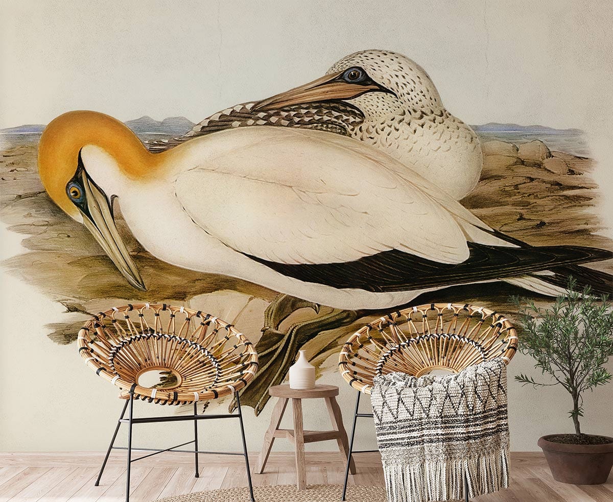 Elegant Gannet Bird Vintage Mural Wallpaper in living room