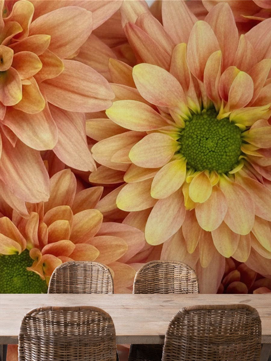 flower blossom wall mural dining room decoration